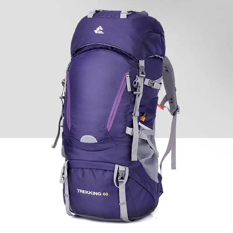 purple hiking backpack